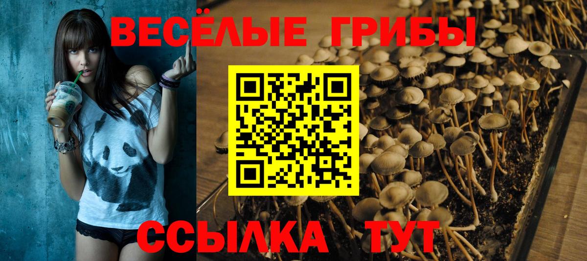 Галлюциногенные грибы мухоморы Отрадный